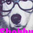 Shobby