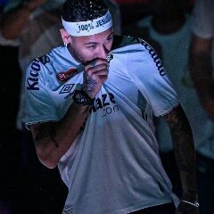 VLM
